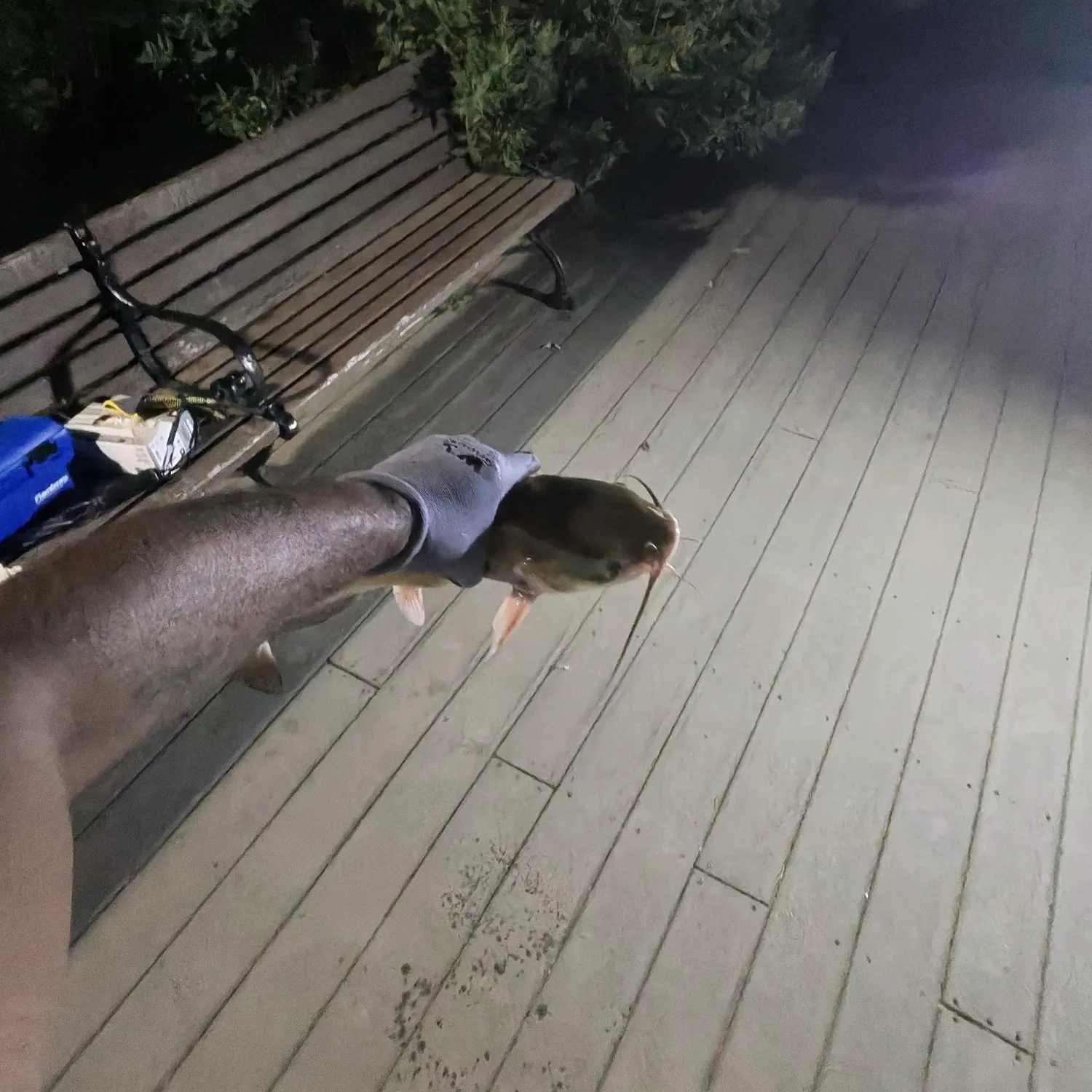 catch