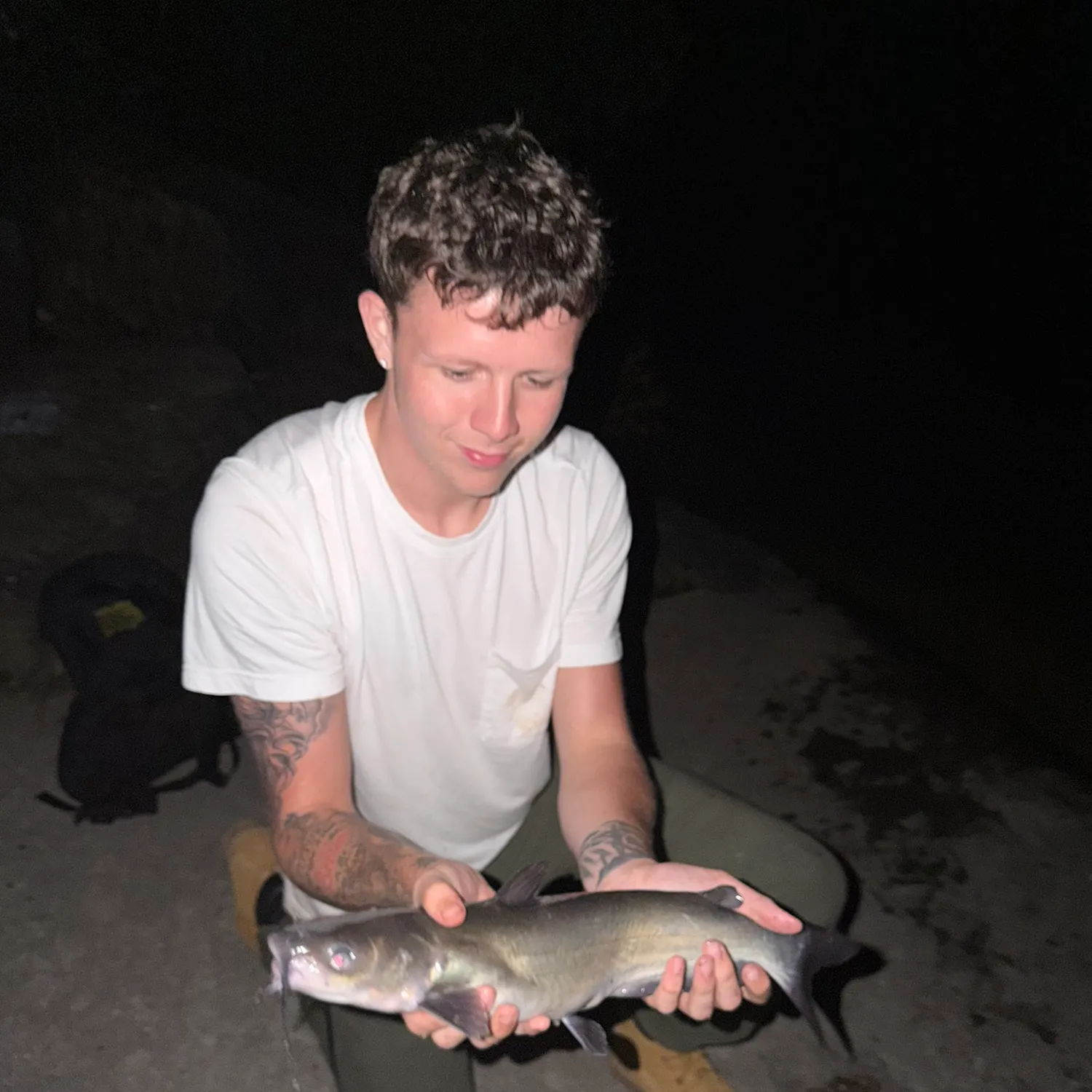 Channel catfish caught on Fishbrain