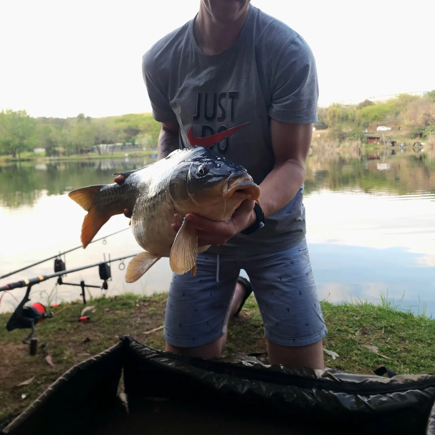 Common carp caught on Fishbrain
