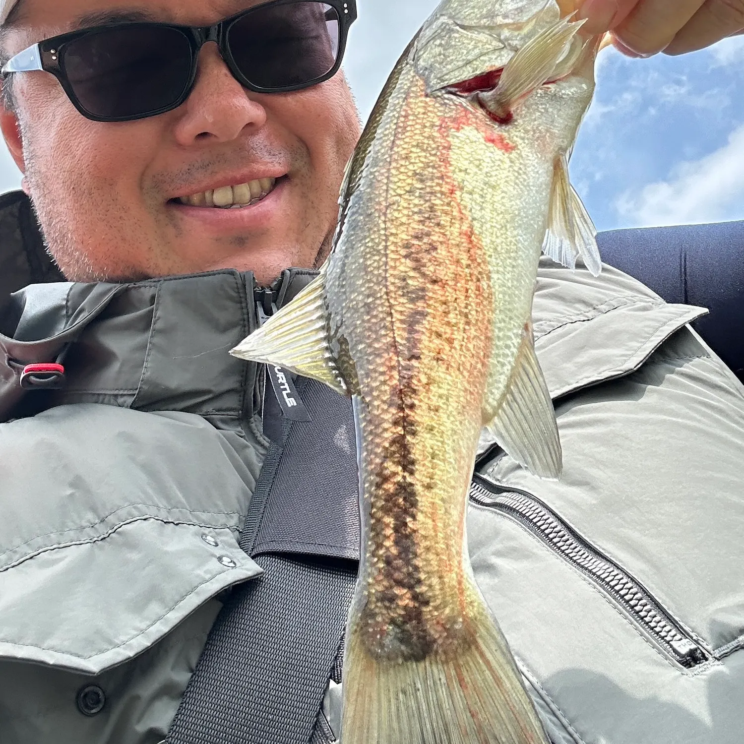 Largemouth bass caught on Fishbrain