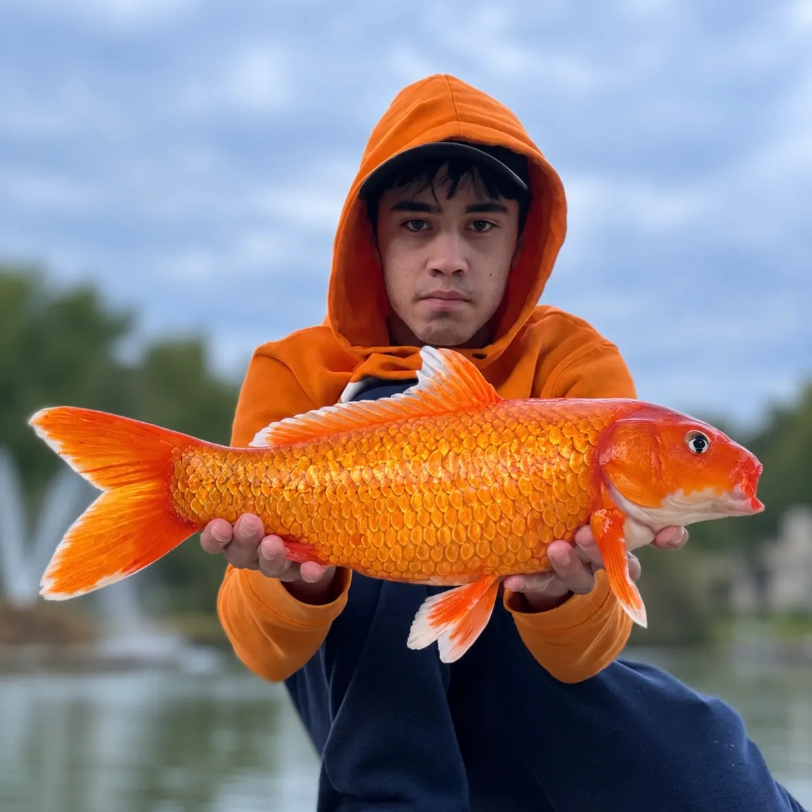 The most recent Koi carp catches on Fishbrain