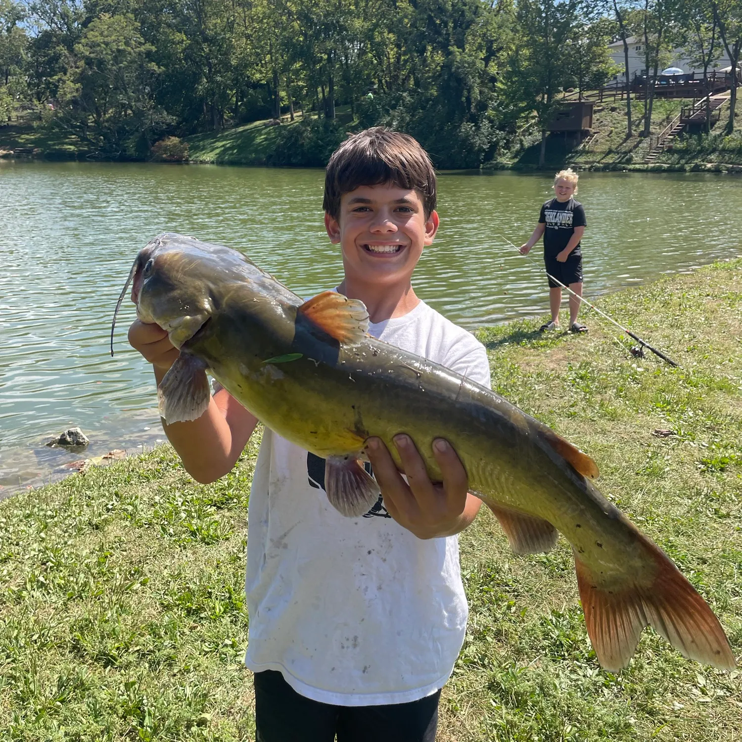 Channel catfish caught on Fishbrain