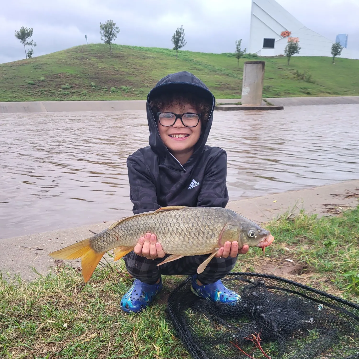 Common carp caught on Fishbrain