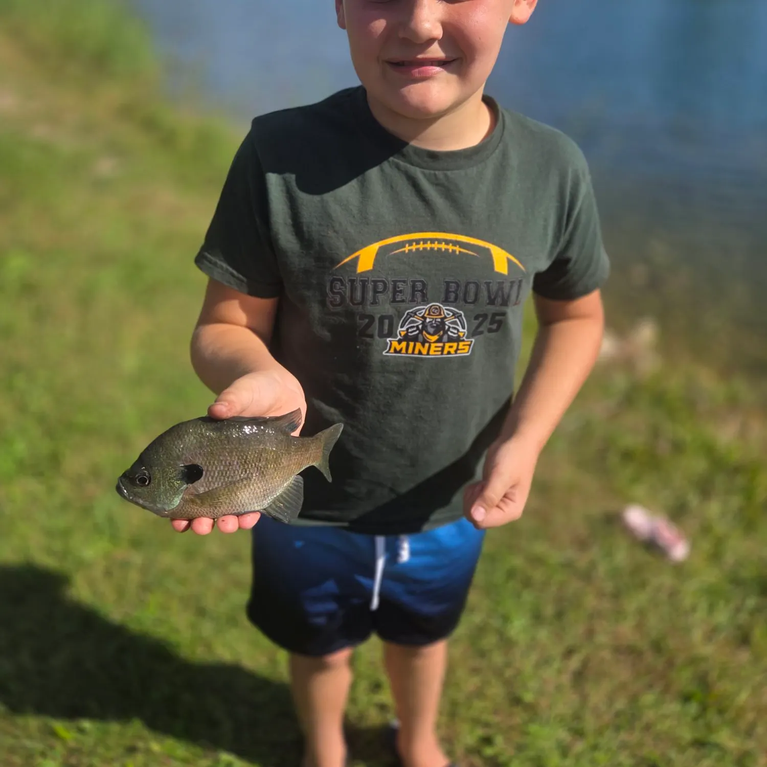 Bluegill caught on Fishbrain