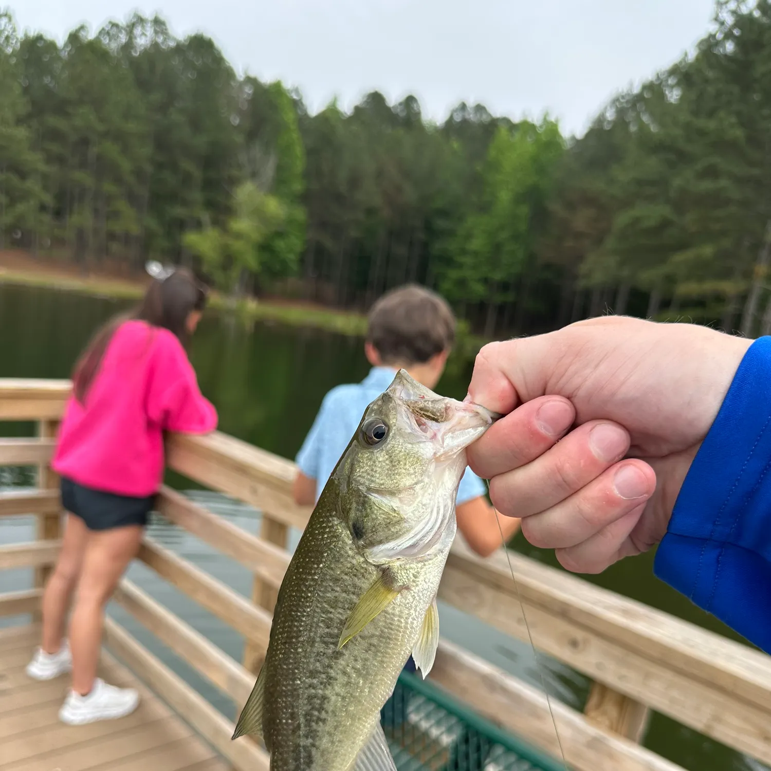 catch