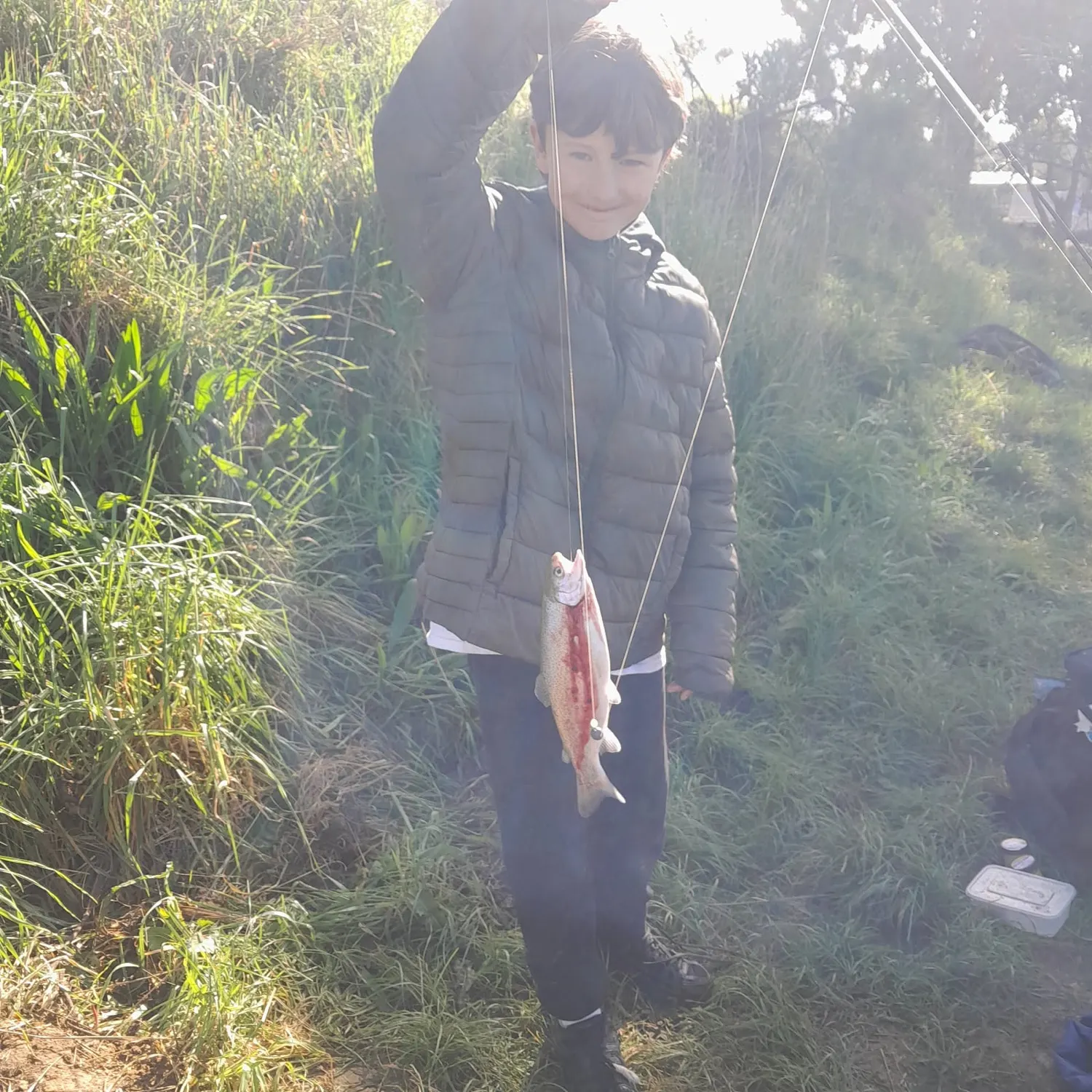Rainbow trout caught on Fishbrain