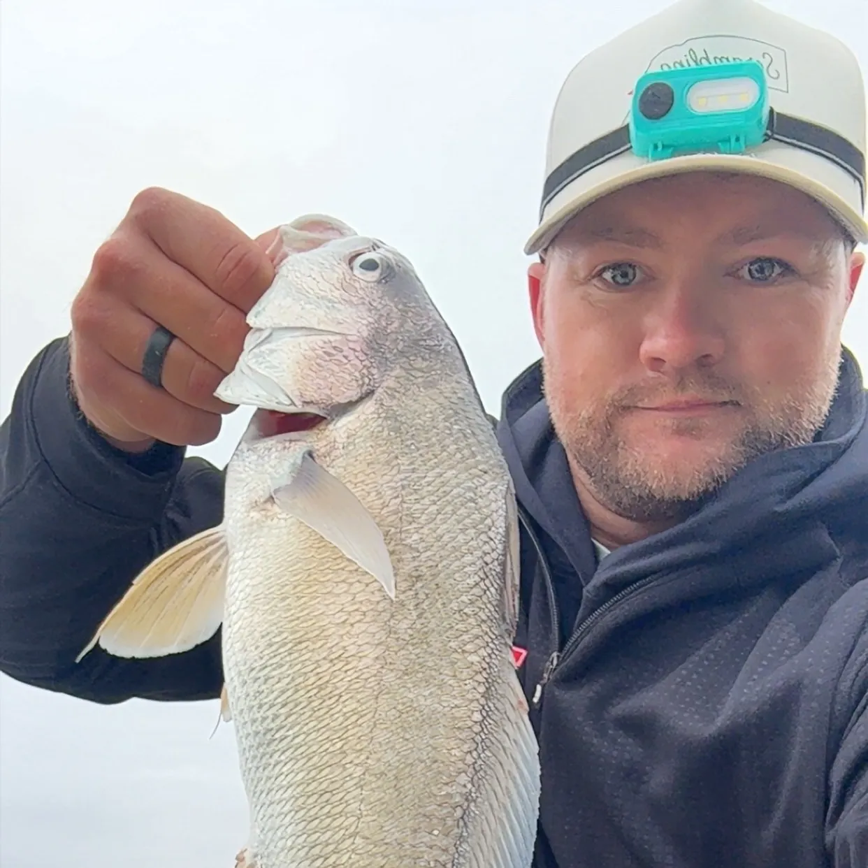 Freshwater drum caught on Fishbrain