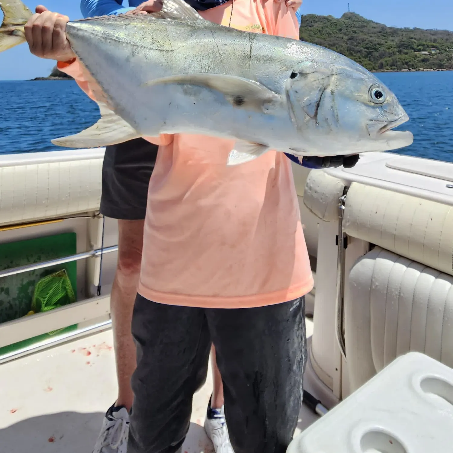 The most recent Crevalle jack catches on Fishbrain