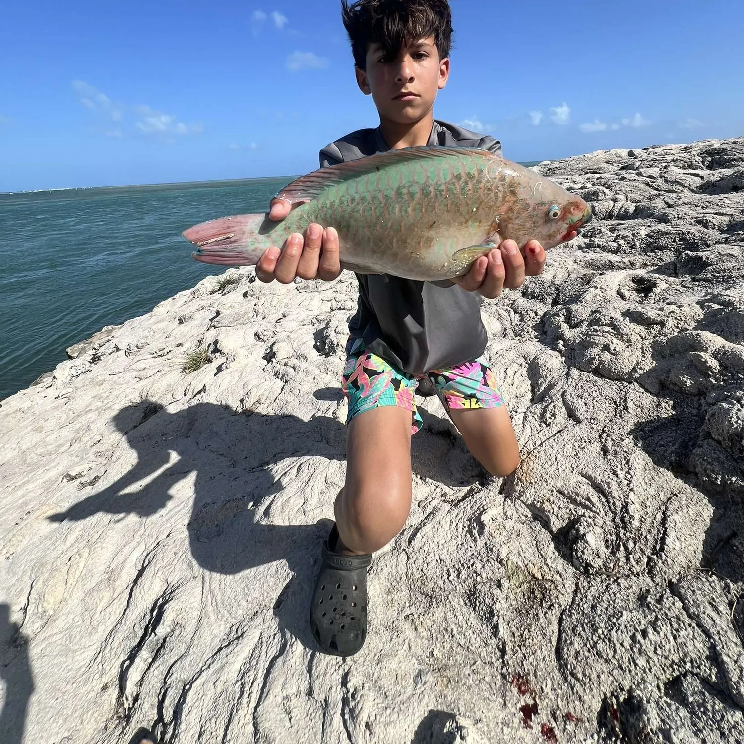 The most recent Ember parrotfish catches on Fishbrain