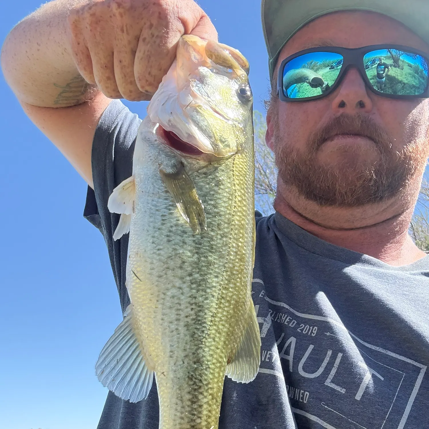 Largemouth bass caught on Fishbrain