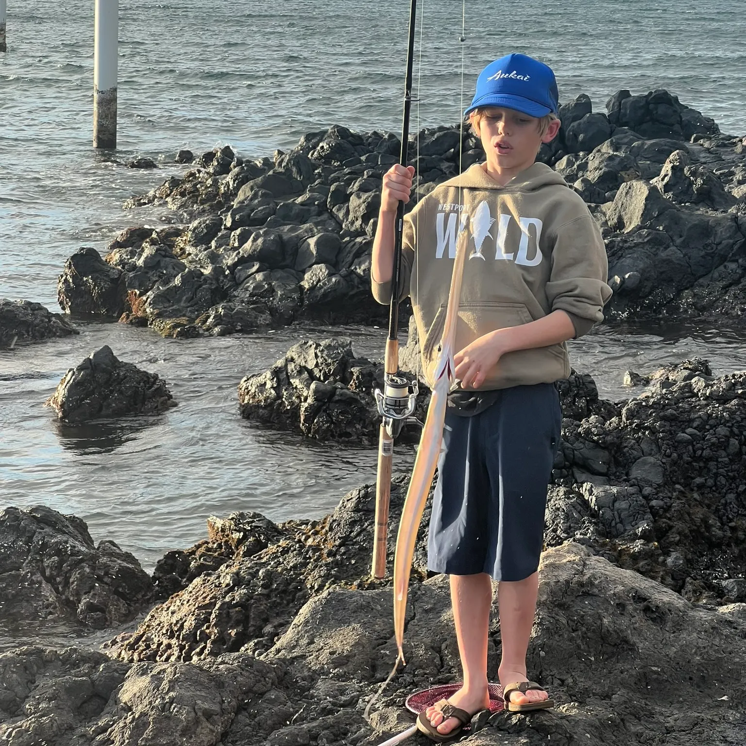 The most recent Chinese trumpetfish catches on Fishbrain