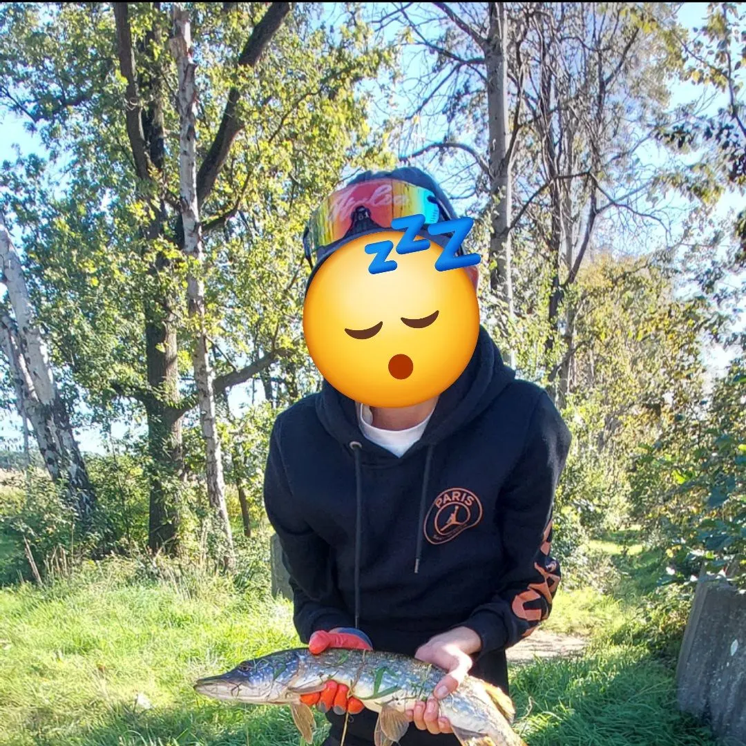 Northern pike caught on Fishbrain
