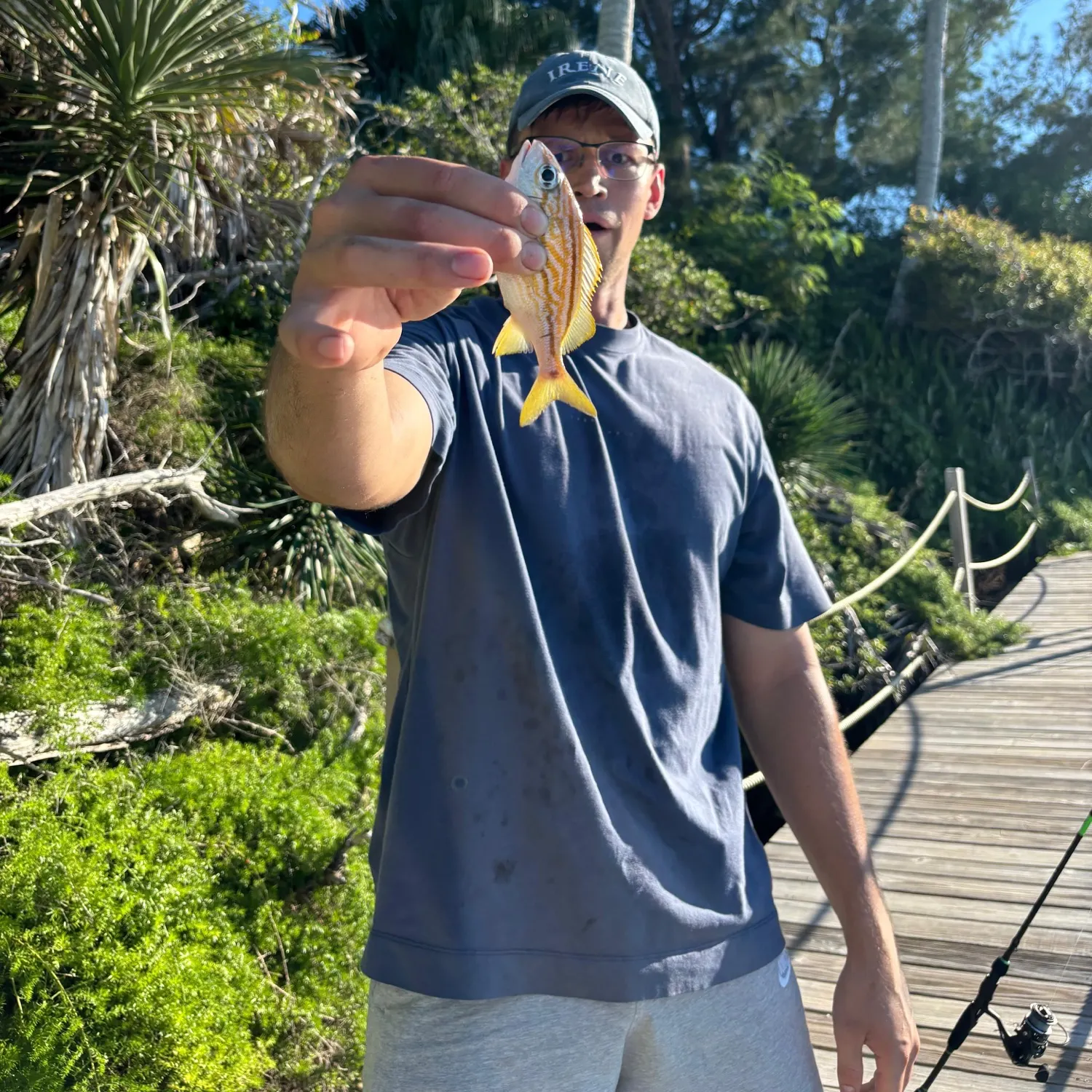 Lane snapper caught on Fishbrain
