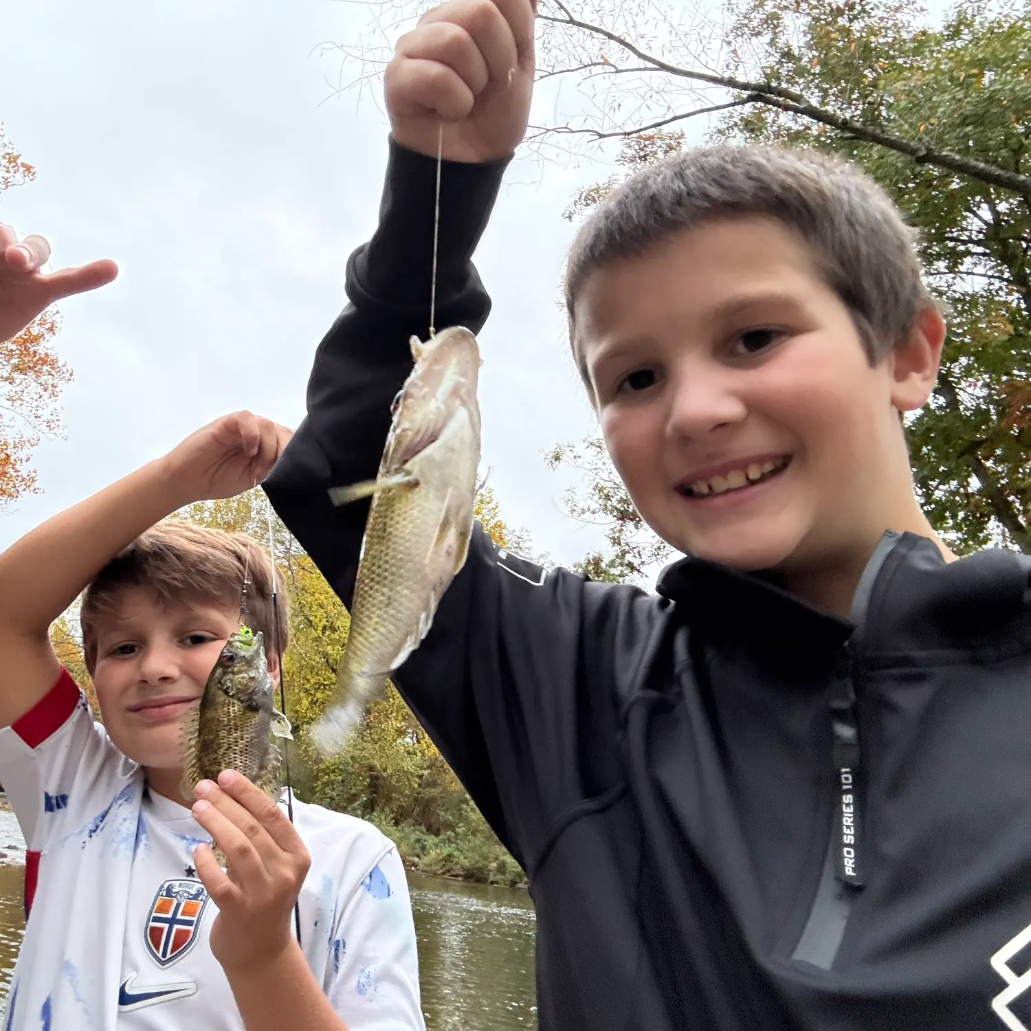 Rock bass caught on Fishbrain
