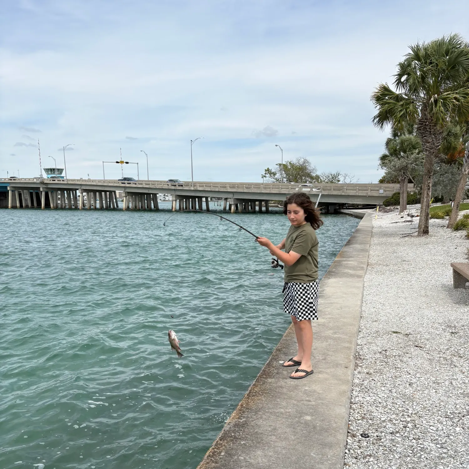 The most recent Cubera snapper catches on Fishbrain