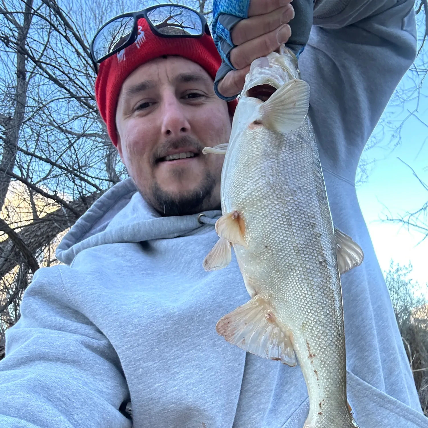 The most recent Roundtail chub catches on Fishbrain