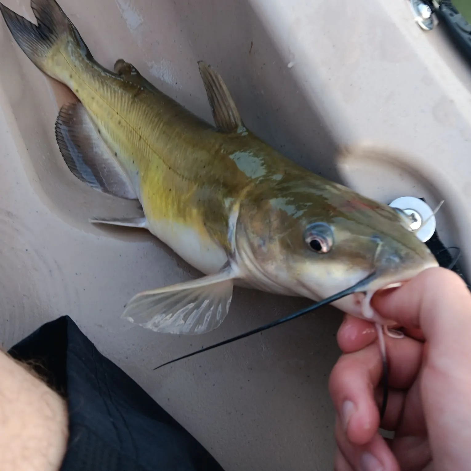catch