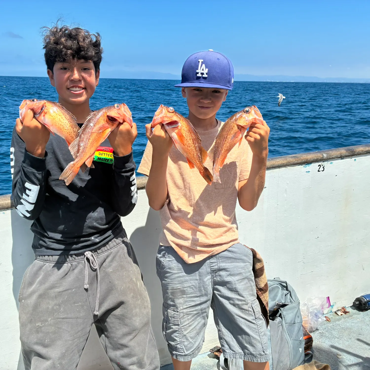 The most recent Bocaccio rockfish catches on Fishbrain