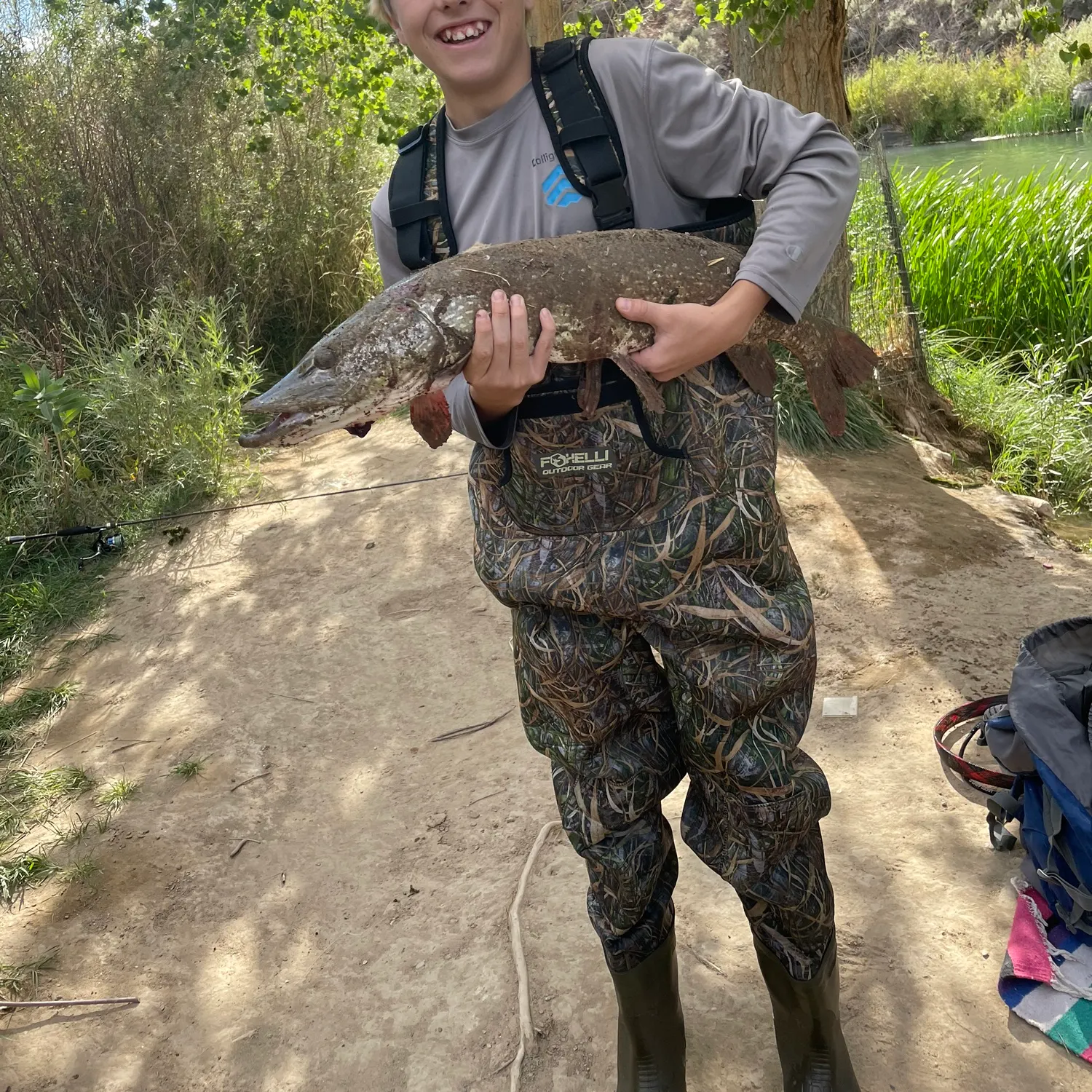 Northern pike caught on Fishbrain