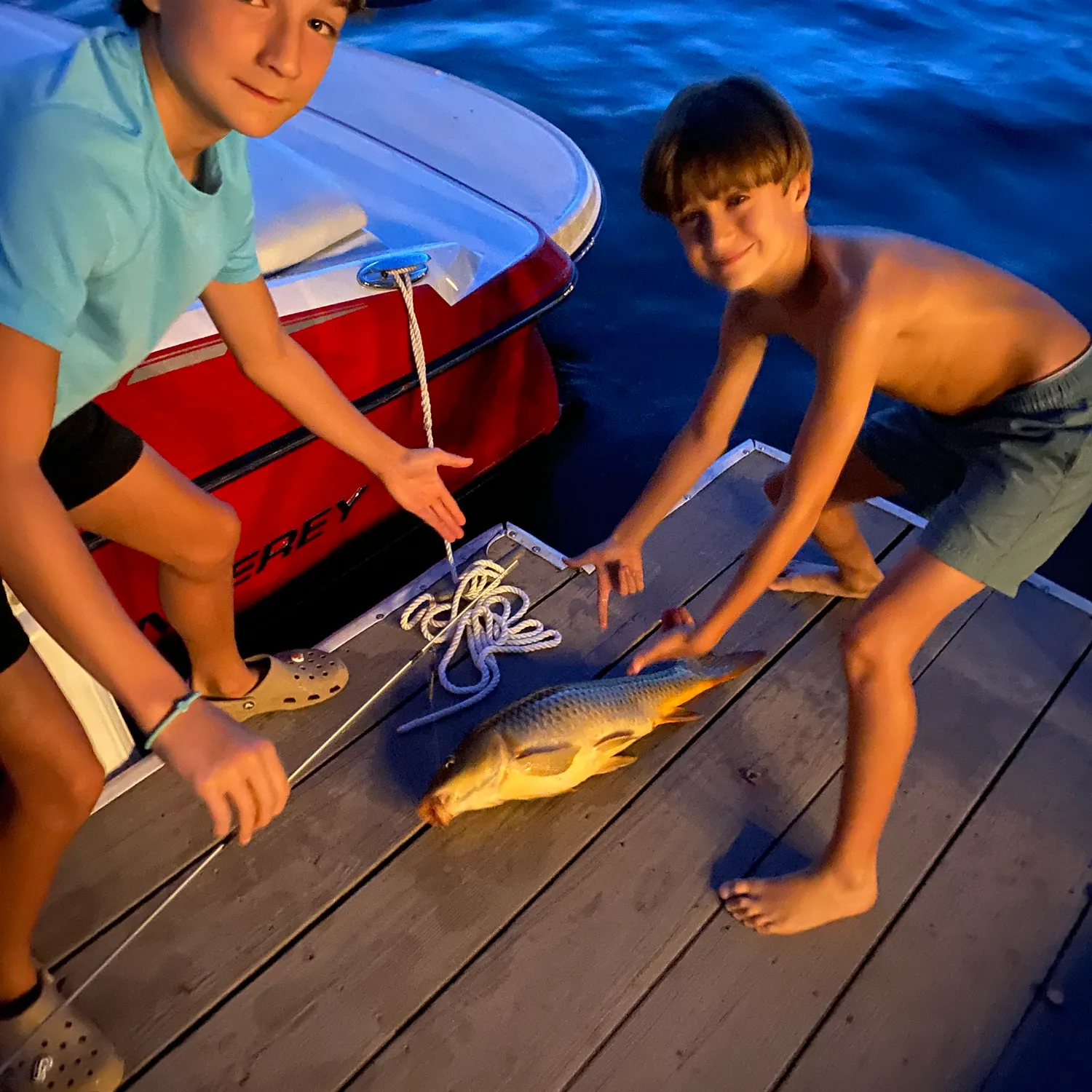 Common carp caught on Fishbrain