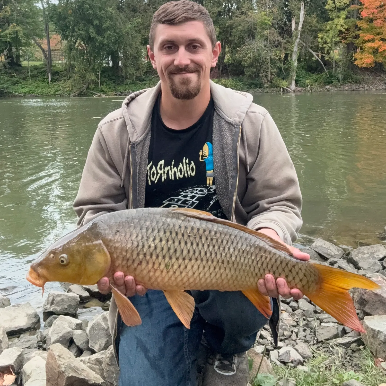 Common carp caught on Fishbrain