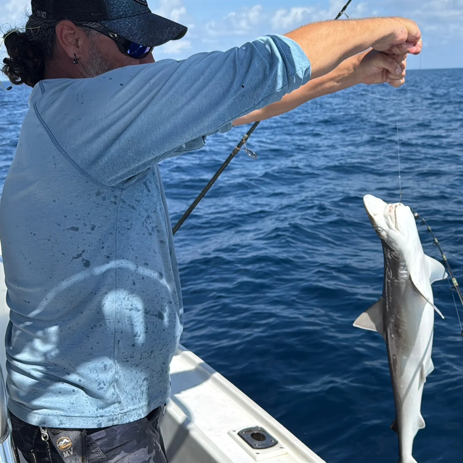 The most popular recent Oceanic whitetip shark catch on Fishbrain