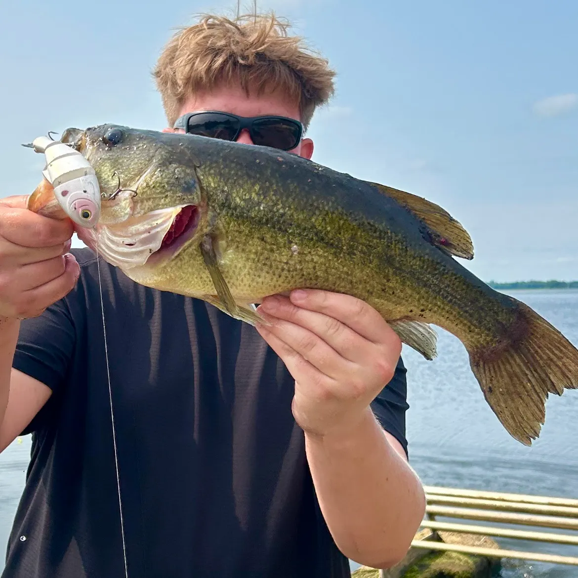 Largemouth bass caught on Fishbrain