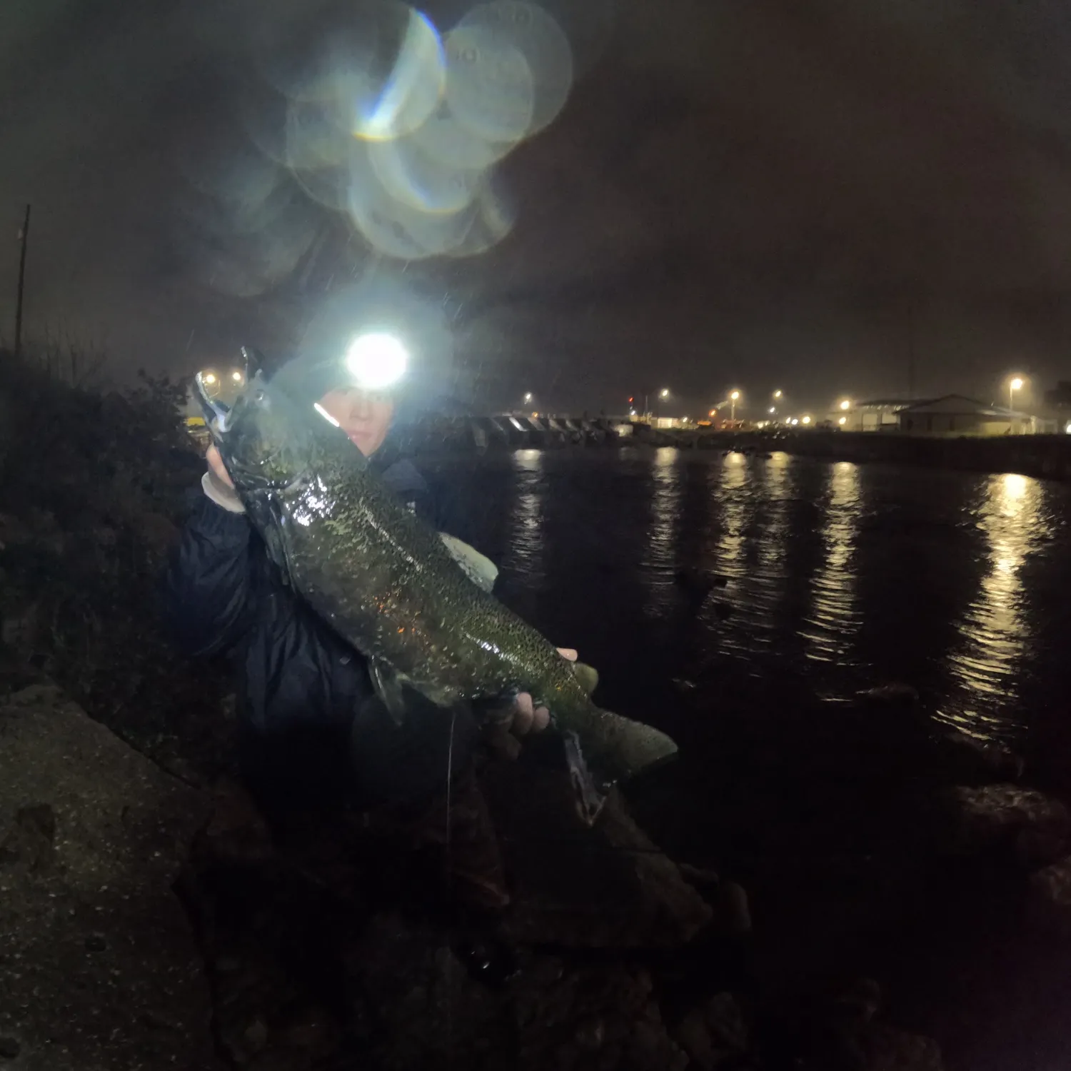 Chinook salmon caught on Fishbrain