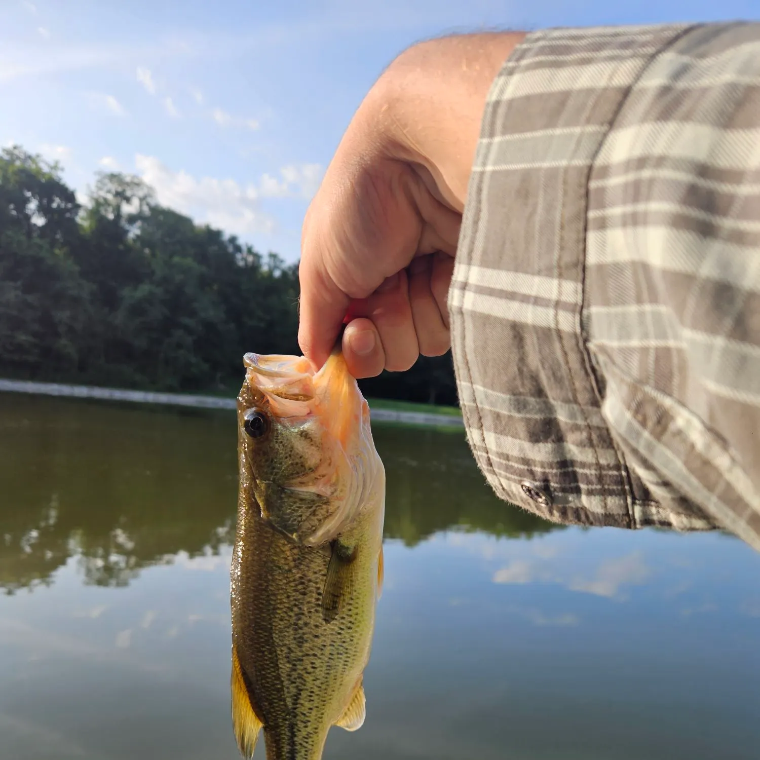 Fish caught on Fishbrain