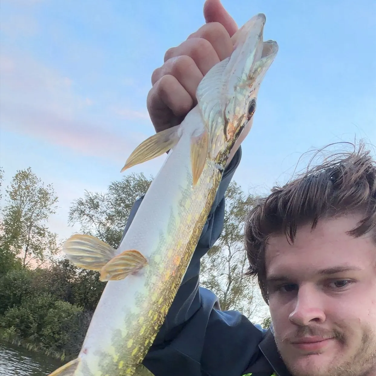 Northern pike caught on Fishbrain