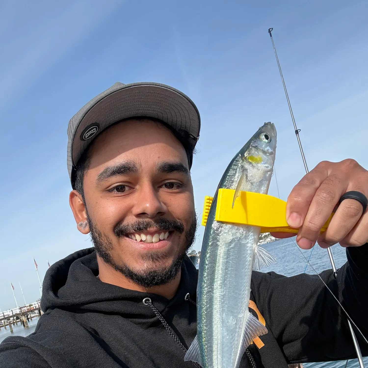 The most recent Jack silverside catches on Fishbrain