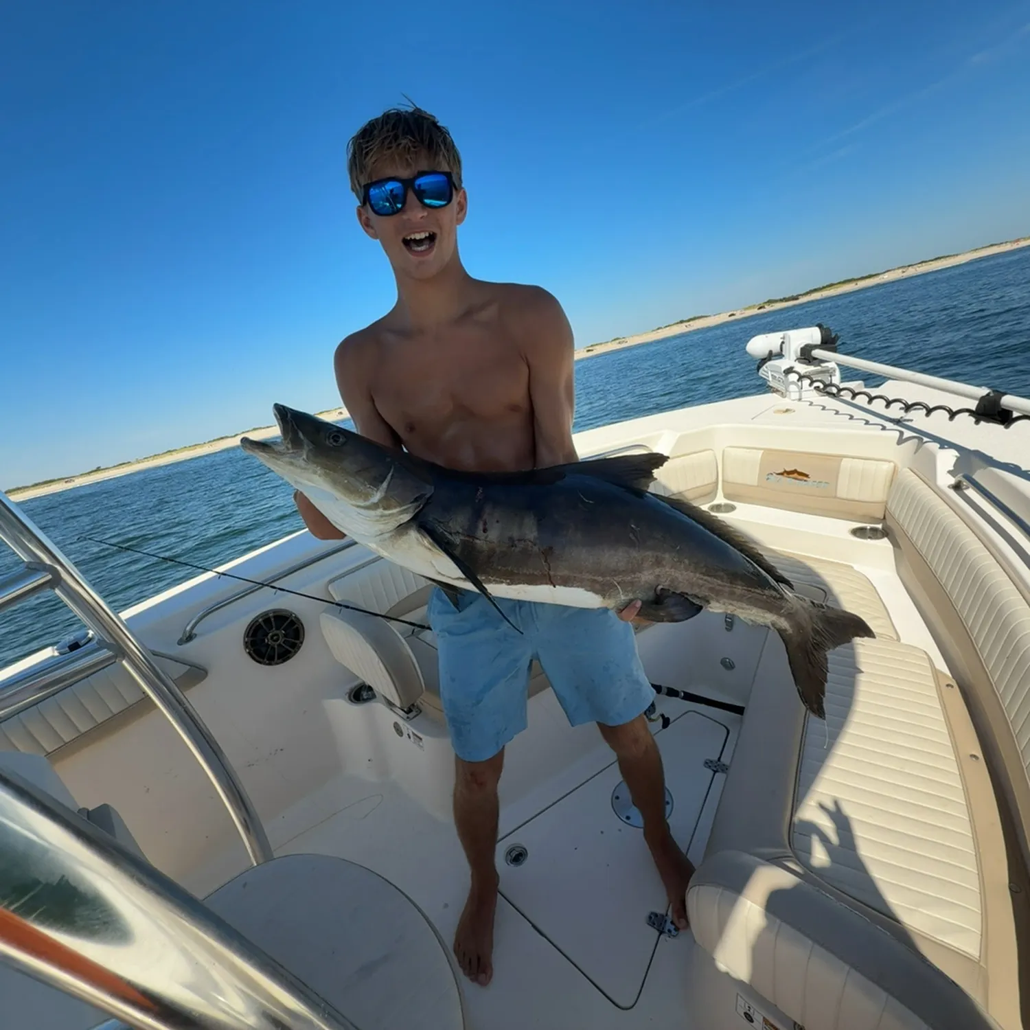 Cobia caught on Fishbrain