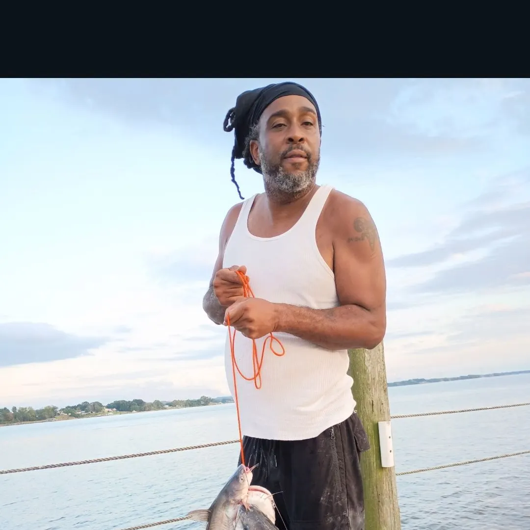 Blue catfish caught on Fishbrain