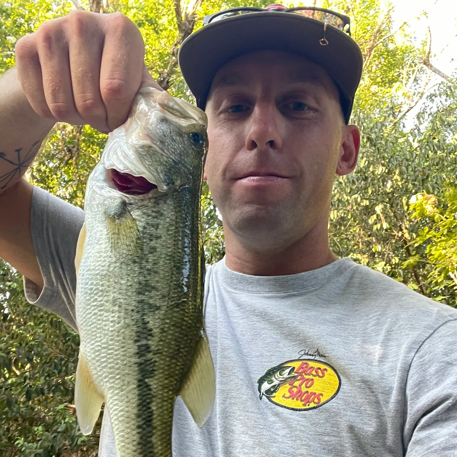 Largemouth bass caught on Fishbrain