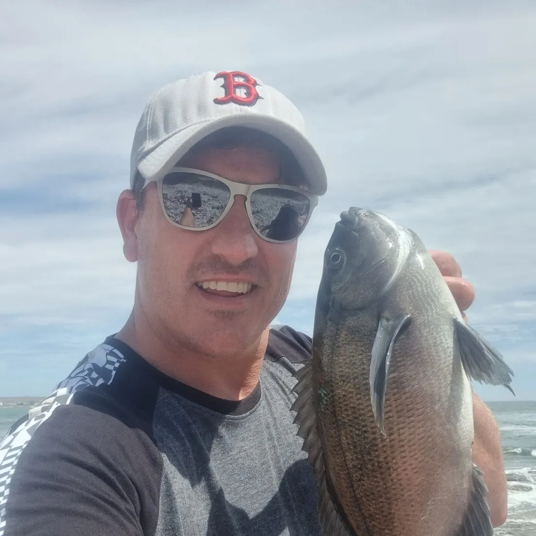 The most recent Hottentot seabream catches on Fishbrain