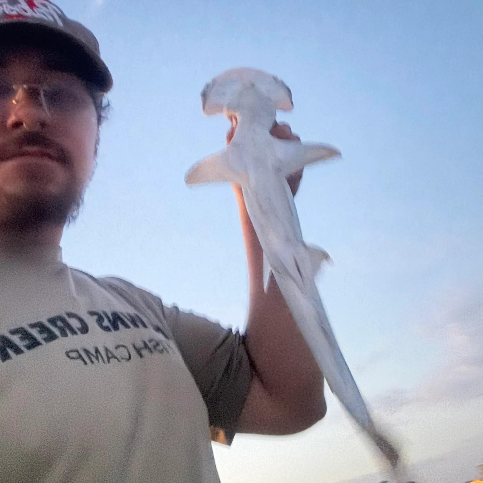 The most recent Bonnethead shark catches on Fishbrain