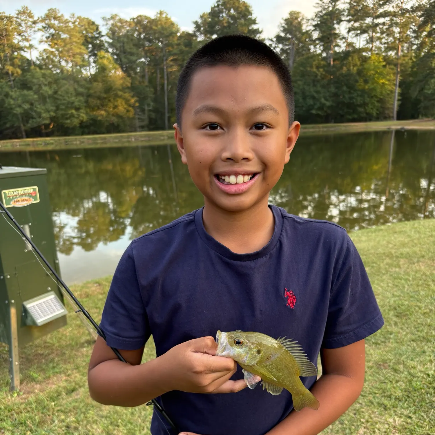 Warmouth caught on Fishbrain