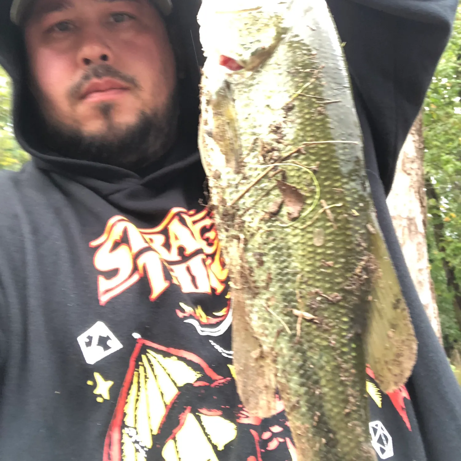 Largemouth bass caught on Fishbrain