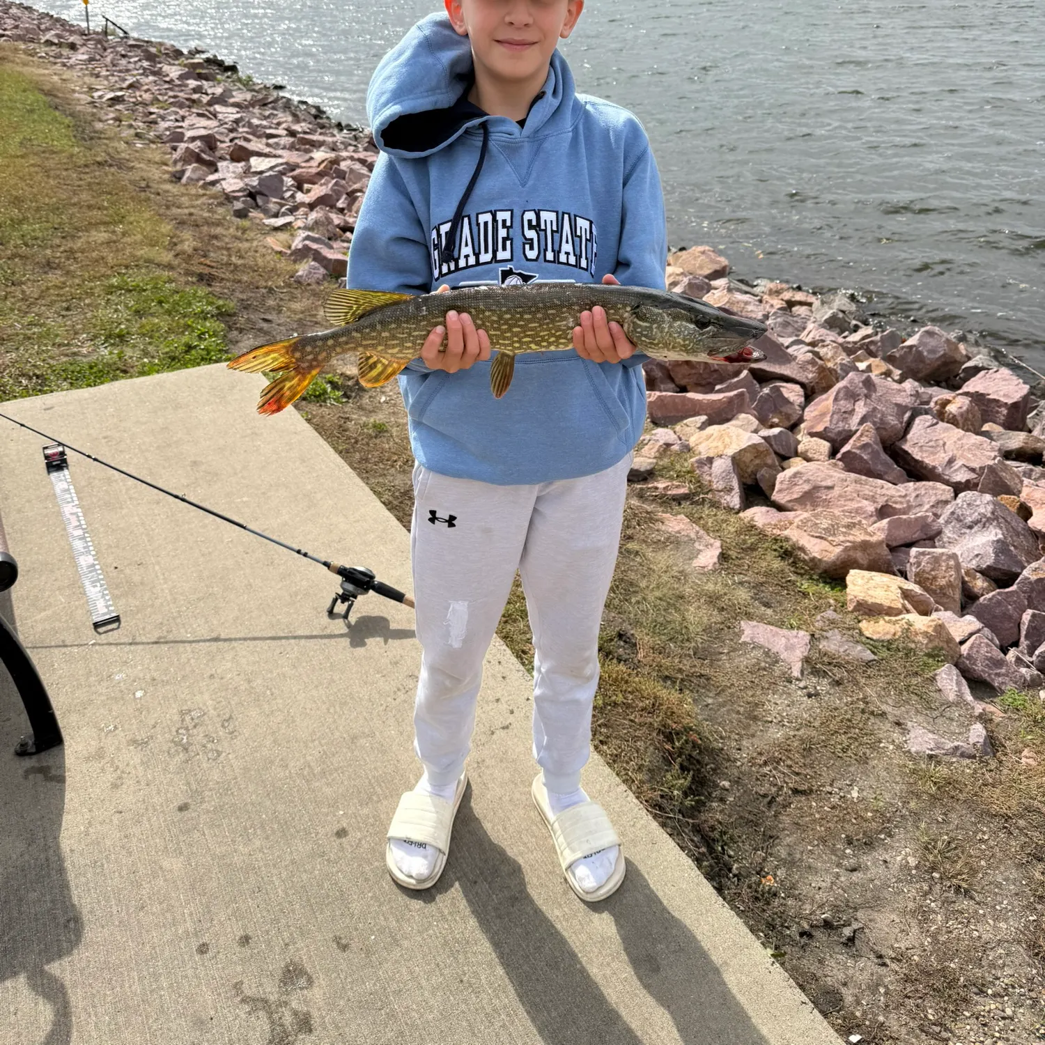 Northern pike caught on Fishbrain