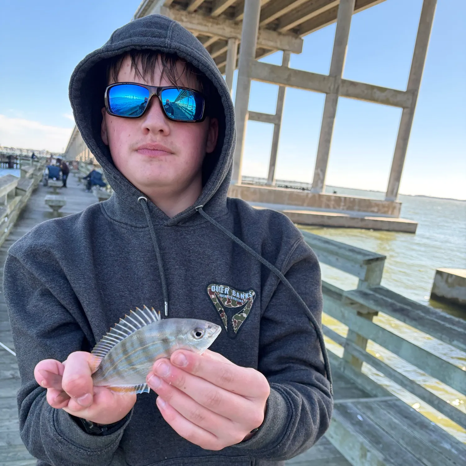 Pinfish caught on Fishbrain