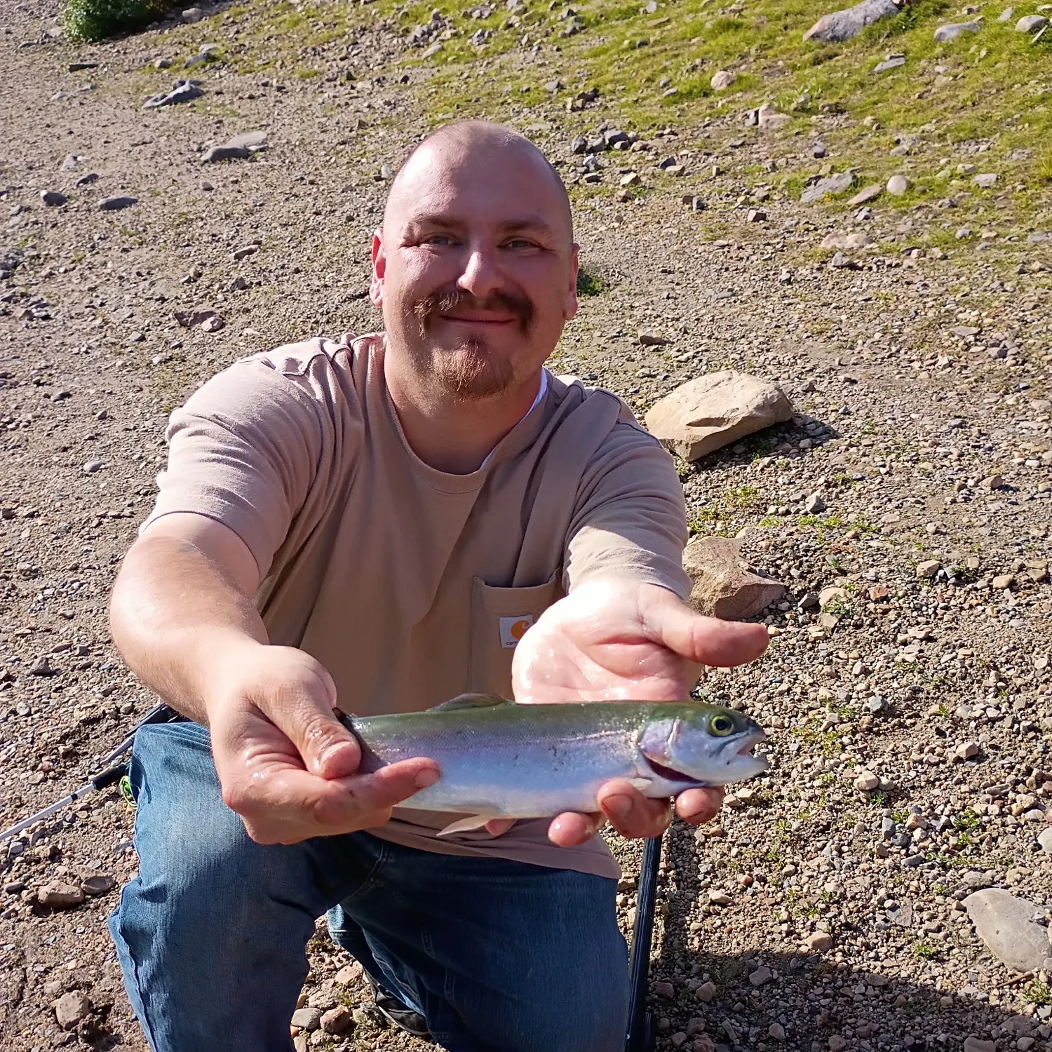 Rainbow trout caught on Fishbrain