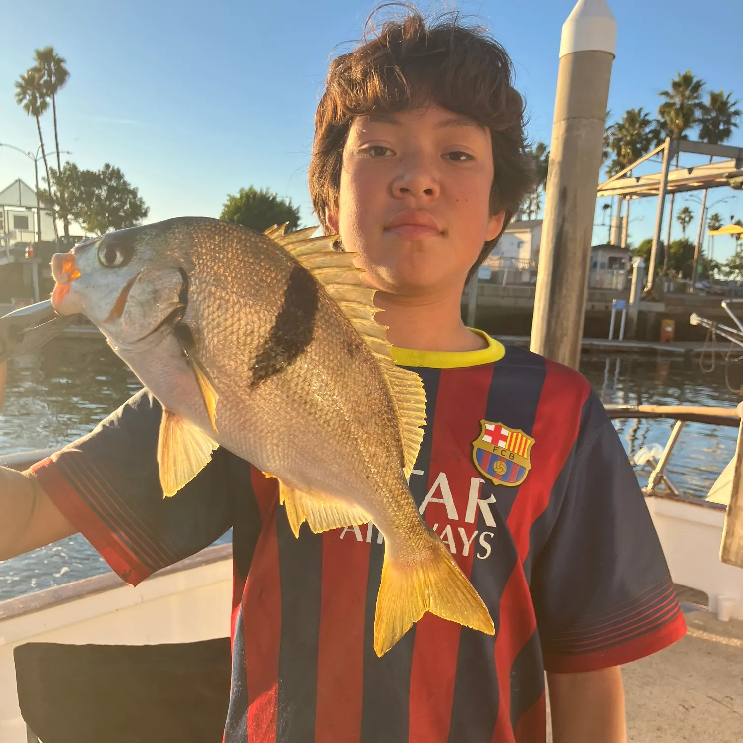 The most recent Sargo catches on Fishbrain