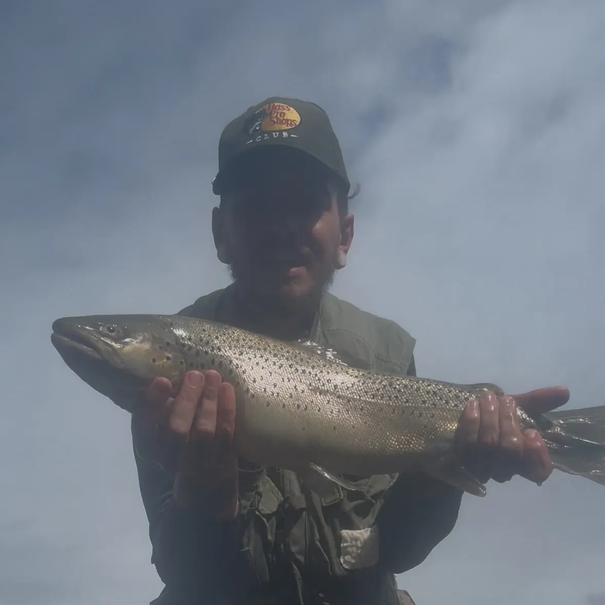 Sea trout caught on Fishbrain