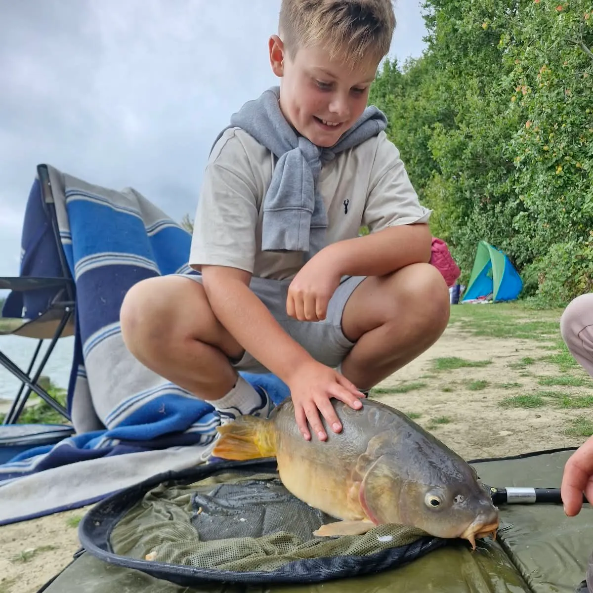 Mirror carp caught on Fishbrain