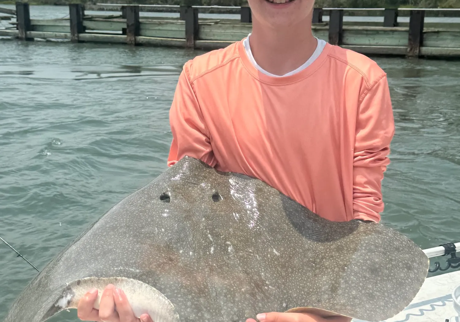 Spiny butterfly ray