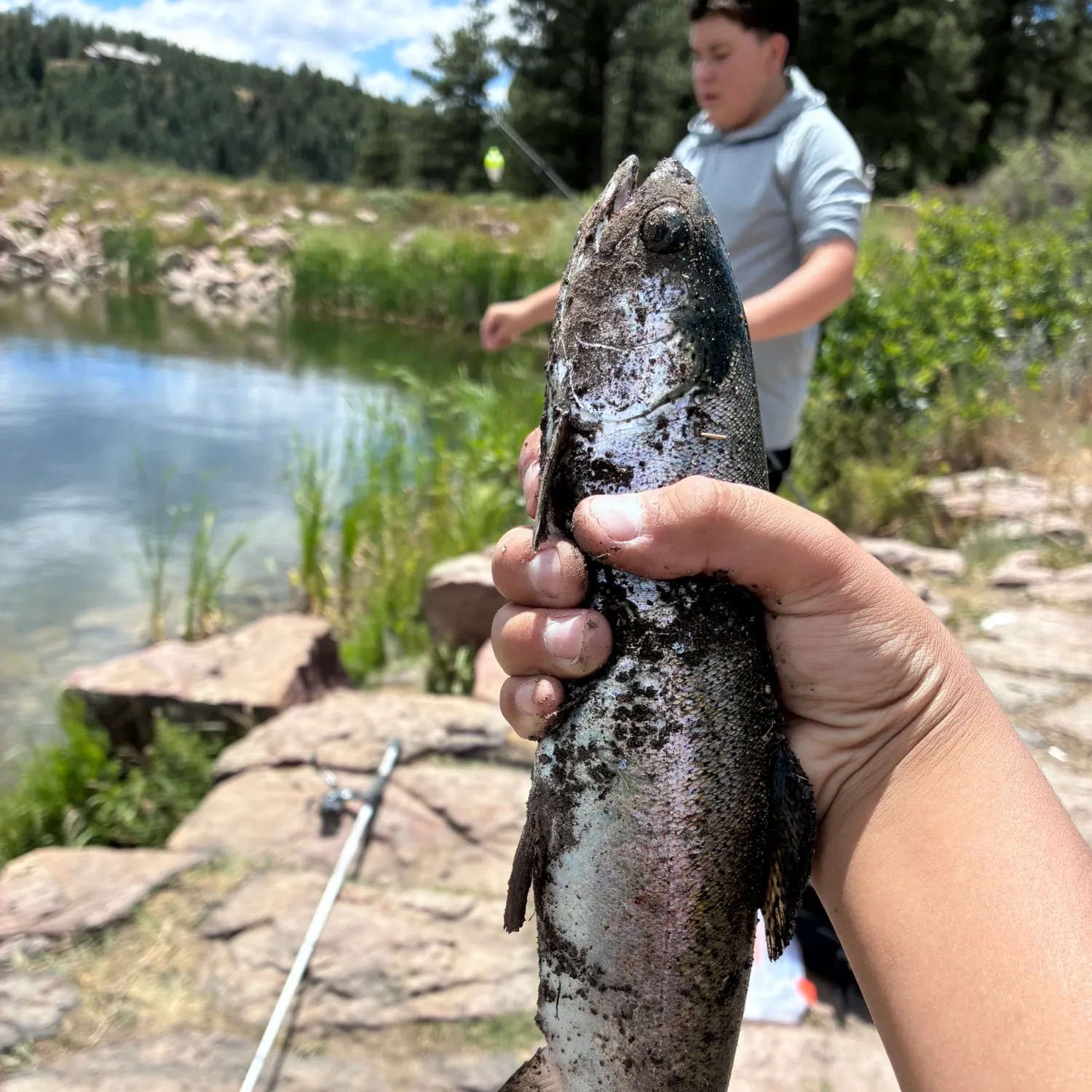 catch