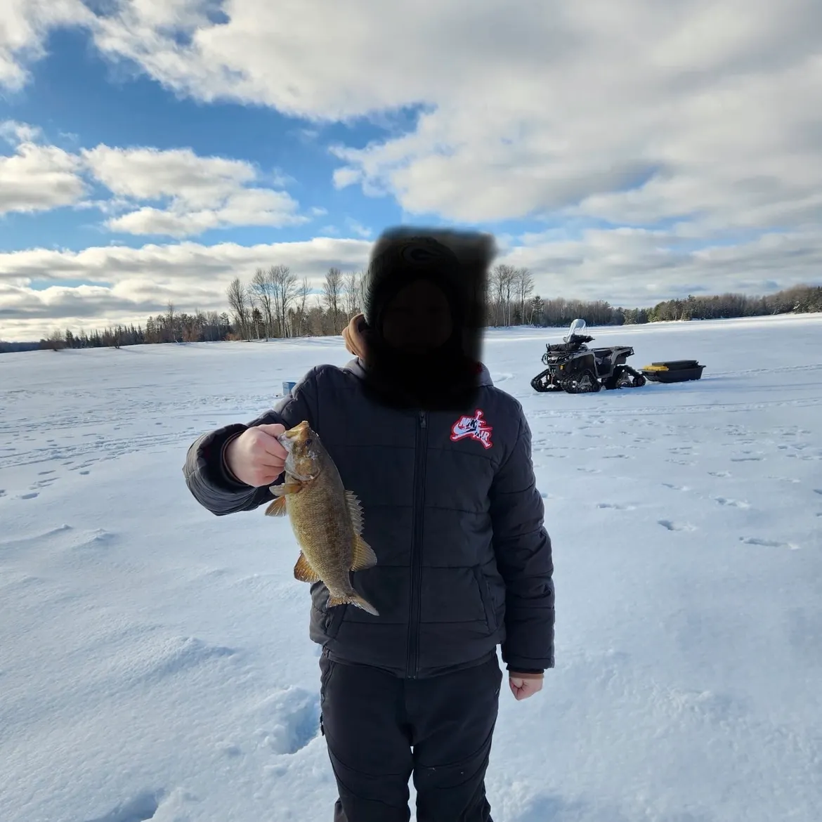 The most recent Smallmouth bass catches on Fishbrain