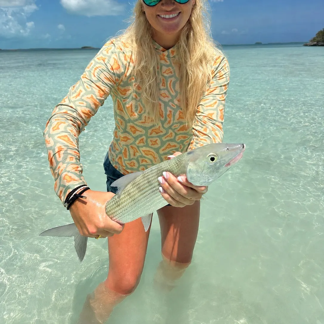 The most recent West Atlantic bonefish catches on Fishbrain