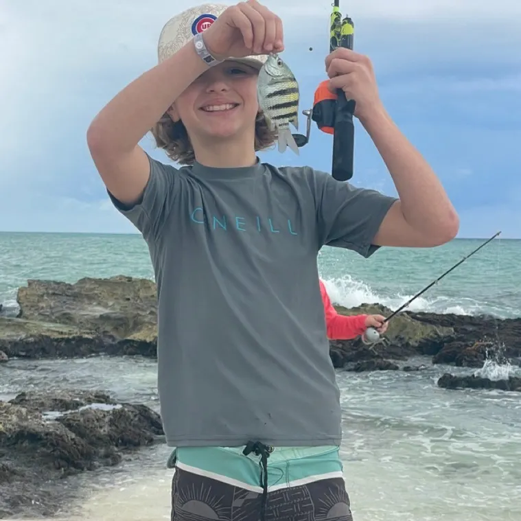 The most recent Panamic sergeant major catches on Fishbrain