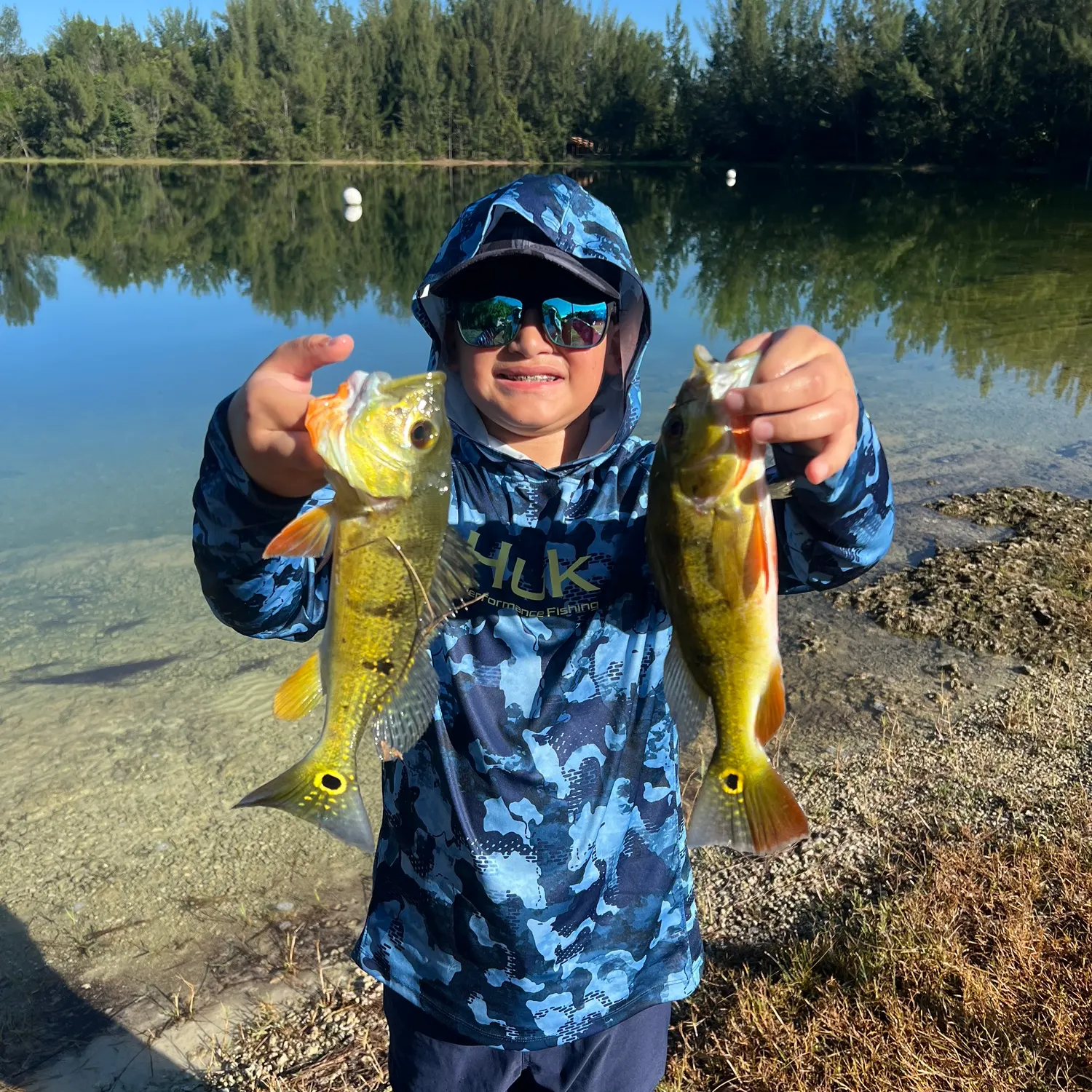 Butterfly peacock bass caught on Fishbrain